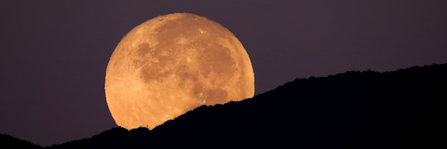 A huge yellow moon looming over a hillside in silhouette.