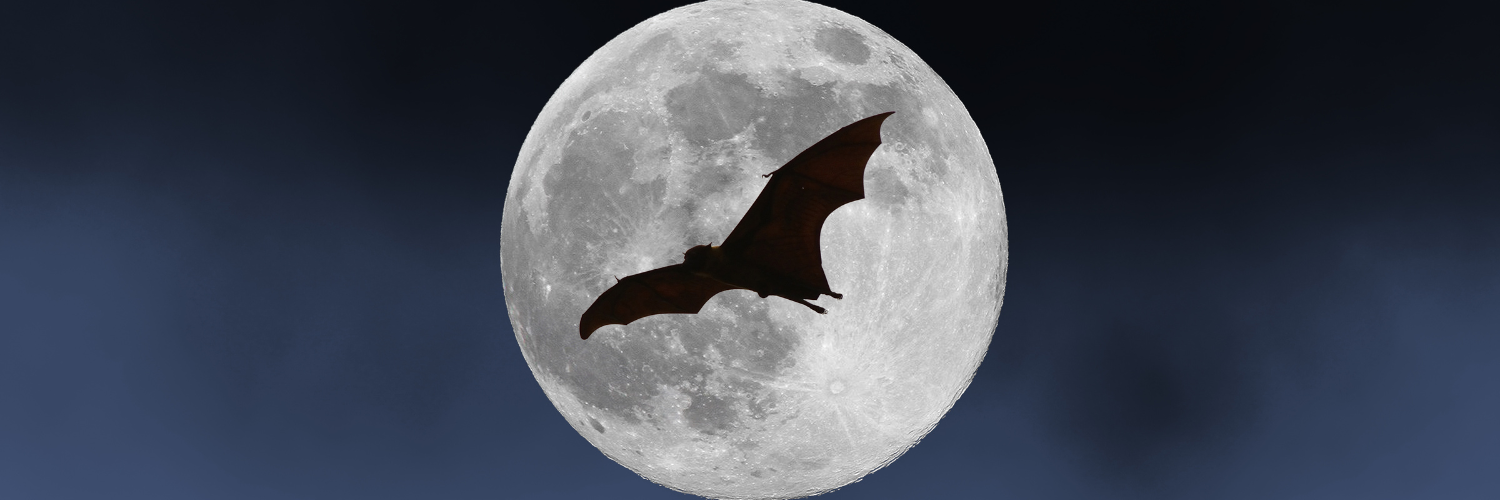 31 Days of Vampires