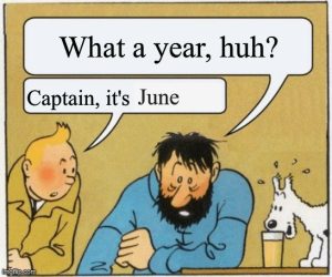 Tintin Comic panel with the Captain hunched over looking stressed saying "What a year, huh?" And TinTin sitting beside him saying "Captain, its June."